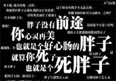 新绿巨人v5.3破解版
